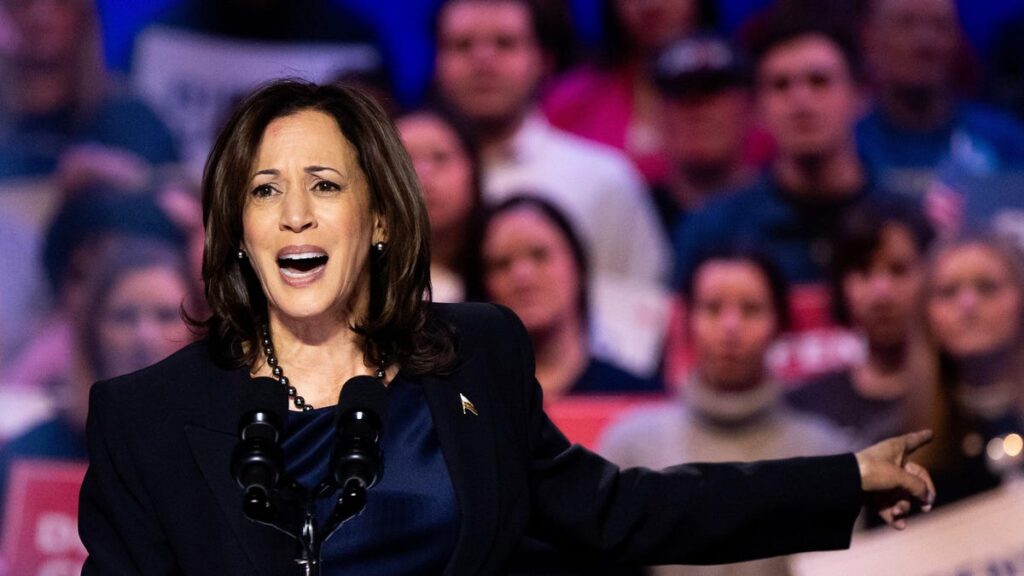 Kamala Harris Comes For Trump About Vital Political Issue