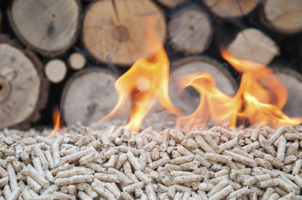 Unlocking the energy potential of biomass [Article]