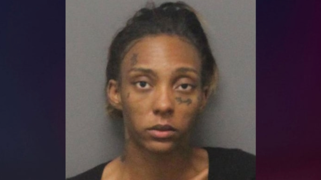 NC Mother Arrested After Leaving Kids for Dead in House Fire