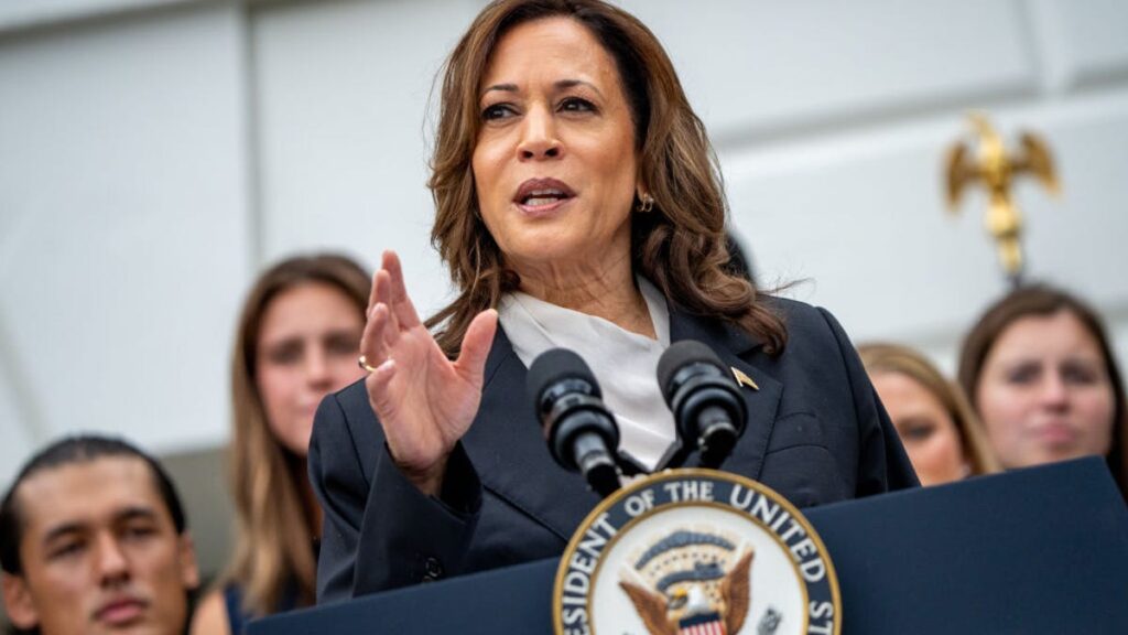 Backstabbed by Subordinates, Leaders in the Workplace, Black Female Bosses Worry Kamala Harris Will Experience Worse In the White House