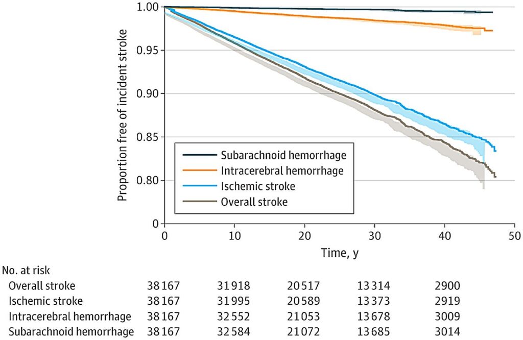 Higher systolic blood pressure over time raises stroke risk, study finds