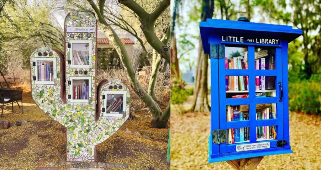 How to set up a Little Free Library