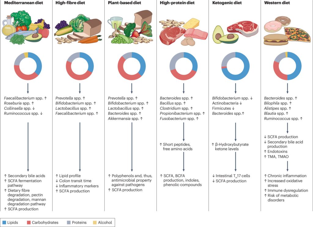 Western diets pose greater risk of cancer and inflammatory bowel disease, study finds