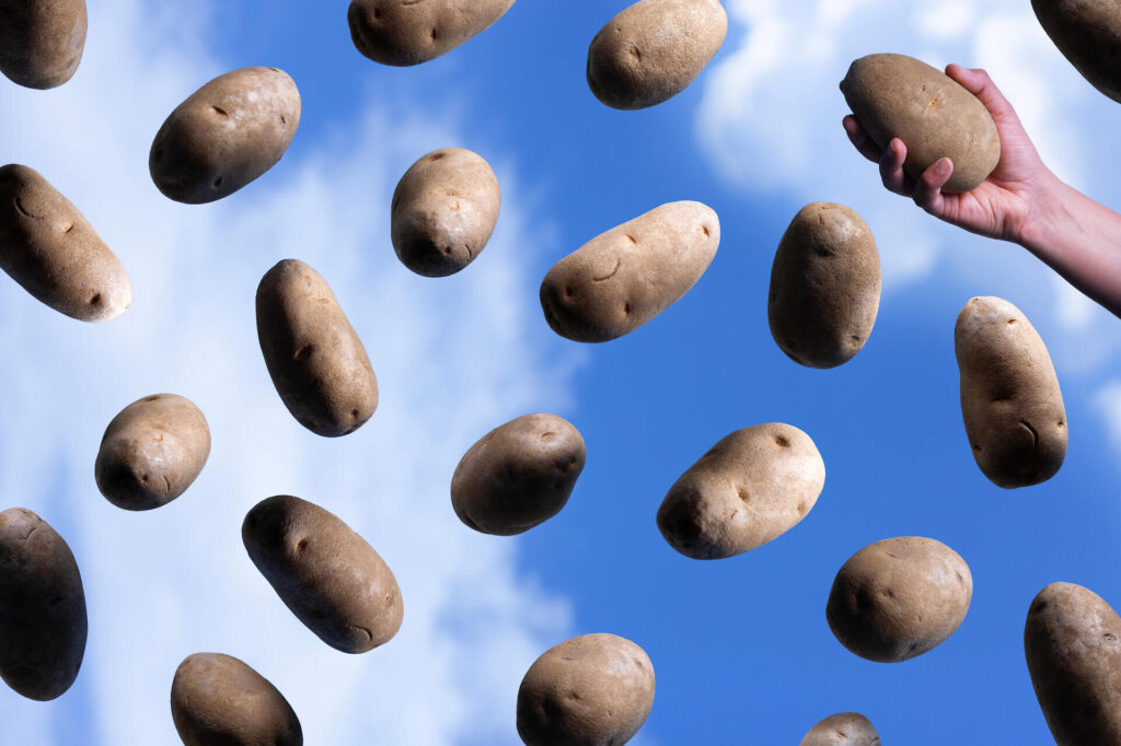 Study finds baked potatoes can improve heart health for diabetics