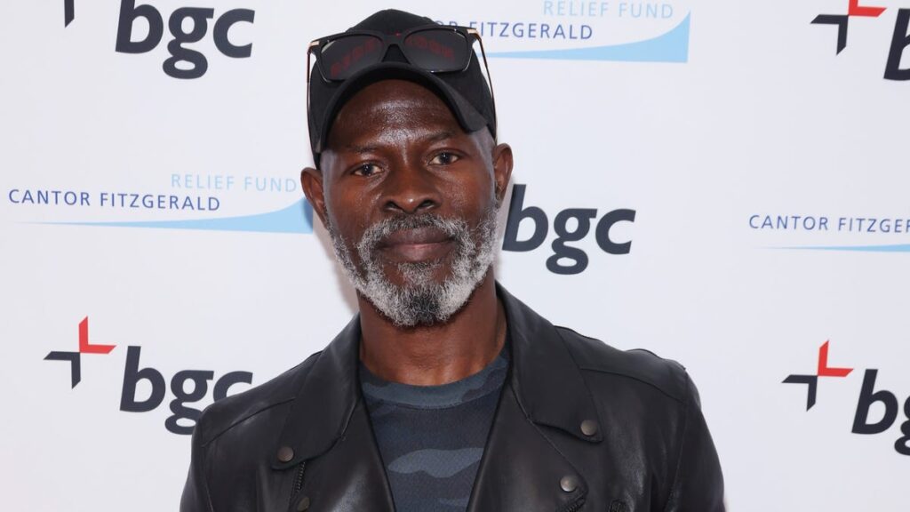 Djimon Hounsou Is the Latest Black Star to Call Out This Persistent Problem In Hollywood