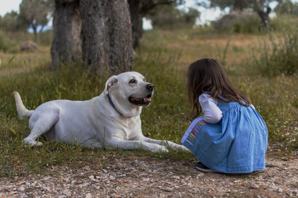 Growing up with a dog may be good for your gut health, study finds