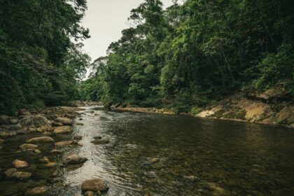 Biden Visits Amazon, The Jungle That Nearly Killed Teddy Roosevelt