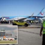 Tui Airways cabin failed to pressurize after pilots missed error message: probe