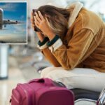 Major airline sues passenger over $15,000 for alleged disruptive behavior