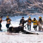 Loveland fire crews save horse trapped in frozen pond