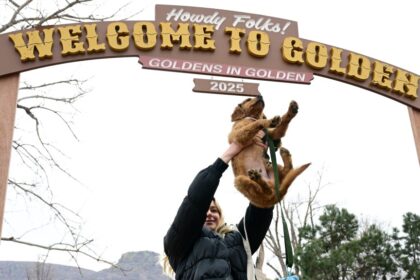 Thousands of Golden Retrievers attend annual Goldens in Golden