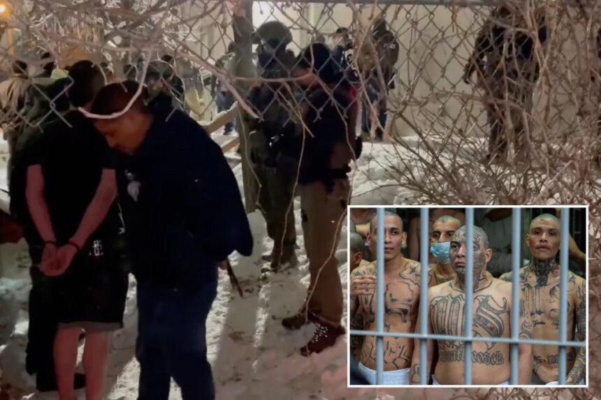 CIA assessing its powers to kill drug smugglers abroad: report