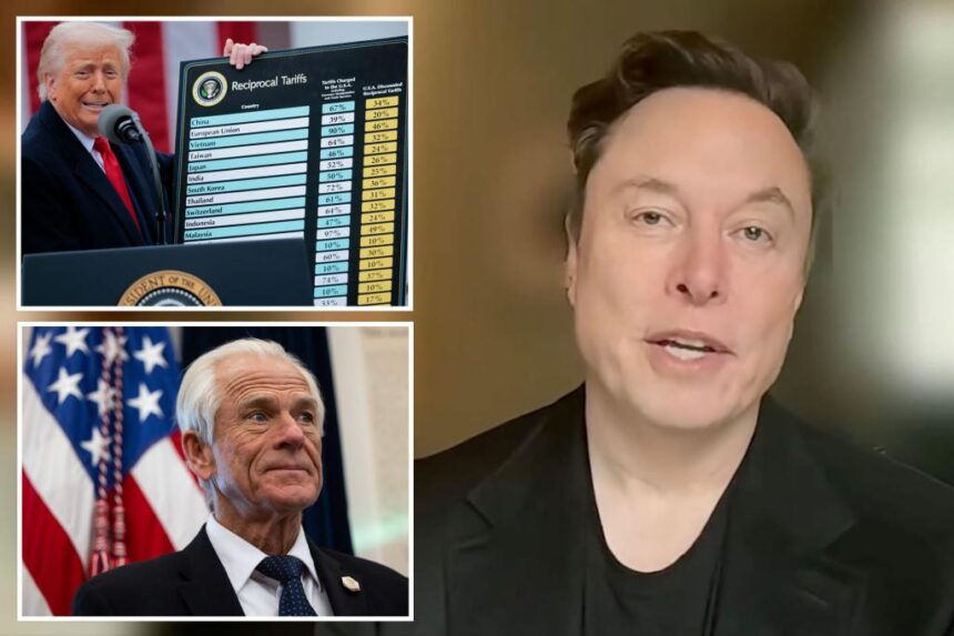 Elon Musk appears to break with Trump admin on tariffs, slams Peter Navarro