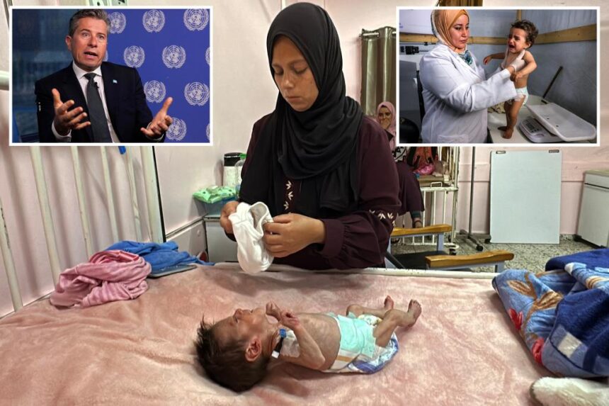 UN, BBC walk back dramatic Gaza infant death toll claim