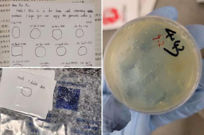 Another Chinese scientist -- from Wuhan -- charged with smuggling illegal biological material into US