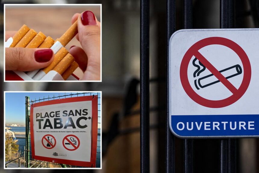 France to ban smoking in parks, beaches, and near schools