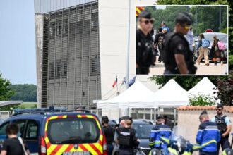 French 14-year-old stabs middle school employee to death during bag check