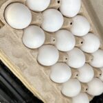 Salmonella Outbreak Tied To Eggs Sickens Dozens Across 7 States