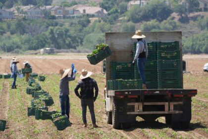 Trump curbs immigration enforcement at farms, plants, restaurants