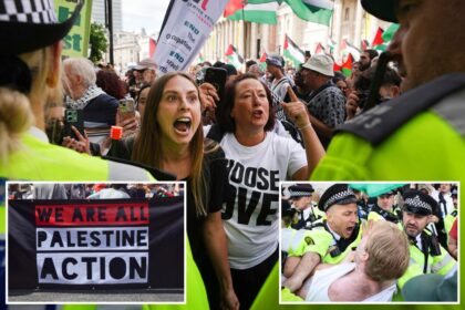 UK government says it will ban pro-Palestinian group