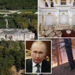 Downed Ukrainian drone sparks fires near from Putin's $1.5B Black Sea palace