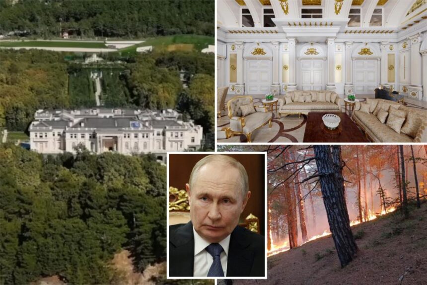 Downed Ukrainian drone sparks fires near from Putin's $1.5B Black Sea palace