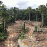 Galamsey: Armah-Kofi Buah requests AG to expedite LI 2462 revocation