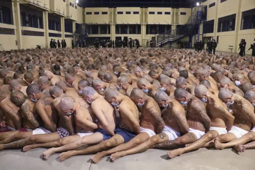 Top 10 countries with the largest prison populations in the world